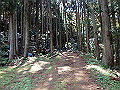 myoujin047_thumb.png