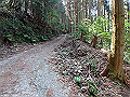 myoujin049_thumb.png