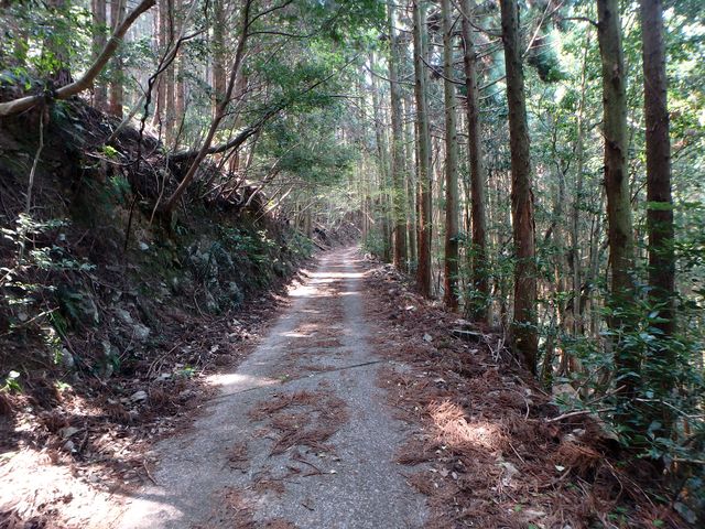 myoujin051.jpg