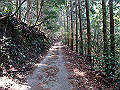 myoujin051_thumb.png