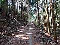 myoujin052_thumb.png