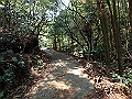 myoujin053_thumb.png