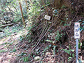 myoujin055_thumb.png