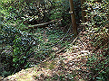 myoujin056_thumb.png