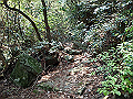 myoujin057_thumb.png