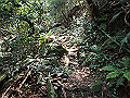 myoujin058_thumb.png