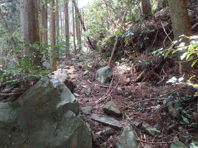 myoujin060.jpg