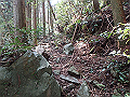 myoujin060_thumb.png