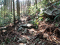 myoujin061_thumb.png