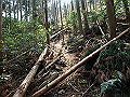 myoujin062_thumb.png