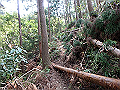 myoujin064_thumb.png