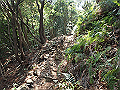 myoujin065_thumb.png