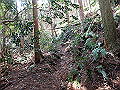 myoujin068_thumb.png