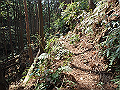 myoujin069_thumb.png