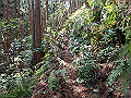 myoujin070_thumb.png