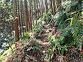 myoujin071_thumb.png