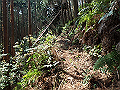 myoujin072_thumb.png