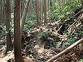 myoujin073_thumb.png