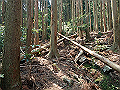 myoujin074_thumb.png