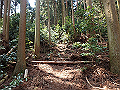 myoujin075_thumb.png