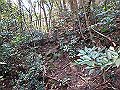 myoujin076_thumb.png