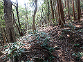 myoujin077_thumb.png