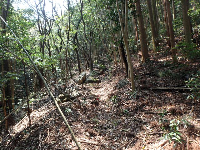 myoujin078.jpg