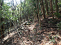 myoujin078_thumb.png