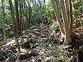 myoujin079_thumb.png