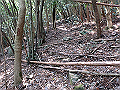 myoujin080_thumb.png