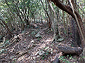 myoujin081_thumb.png