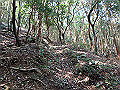 myoujin082_thumb.png