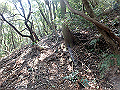 myoujin083_thumb.png