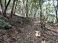 myoujin086_thumb.png