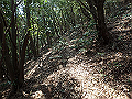 myoujin087_thumb.png