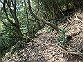 myoujin088_thumb.png