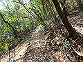 myoujin089_thumb.png