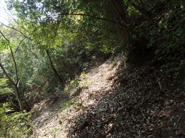 myoujin091.jpg
