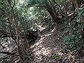 myoujin092_thumb.png