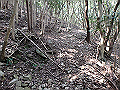 myoujin095_thumb.png