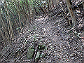 myoujin096_thumb.png