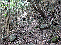 myoujin097_thumb.png