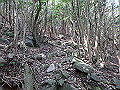 myoujin098_thumb.png