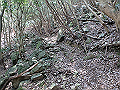 myoujin099_thumb.png