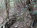 myoujin104_thumb.png