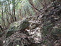 myoujin106_thumb.png