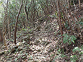 myoujin107_thumb.png