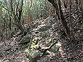 myoujin108_thumb.png
