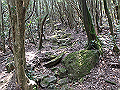 myoujin110_thumb.png