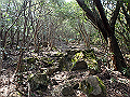 myoujin116_thumb.png